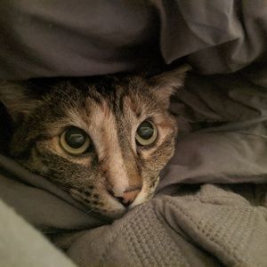 Meet your Posher, Alixe